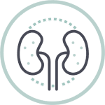 Plunes Centro Médico – Nefrologia
